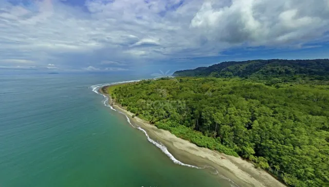 Isla en Venta en Sierpe, Osa – 259 Hectáreas de Naturaleza, Playas y Potencial de Desarrollo