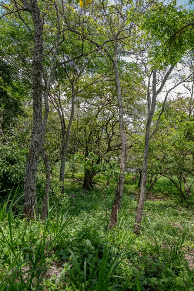 Venta de Lote Privado y Lujoso en Rio Oro, Santa Ana