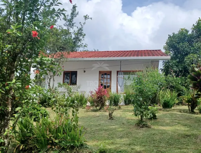 Terreno de 26 hectareas con Vistas al Lago en Nuevo Arenal, Ideal para Desarrollo Residencial Familiar