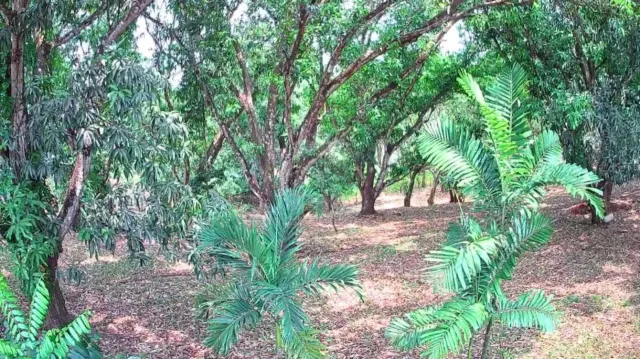 Lote Estratégico de 1.312 m² Frente a Ruta 27 – Orotina, Alajuela