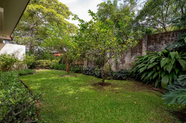 Casa Bougainvillea – Residencia de Lujo de Una Planta en Santa Ana con Amplio Jardín Privado