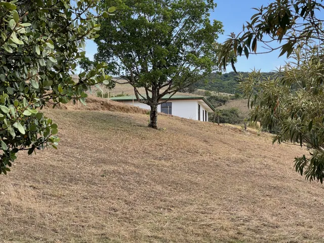 Lote en venta en San Ramon con 3100m2 de lote