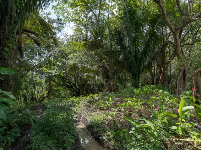 Lote Comercial y Turístico en Cabuya – Naturaleza, Visibilidad y Potencial en la Península de Nicoya