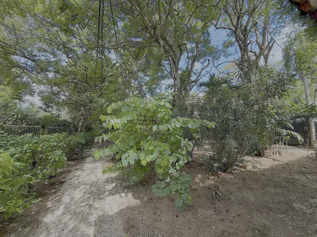Casa Rústica Frente al Mar en Alquiler en Playa Grande, Guanacaste | Con Acceso Directo a la Playa