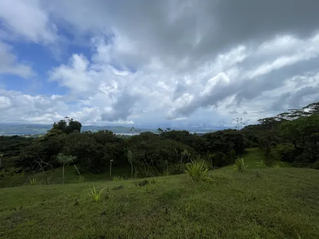 Propiedad de 26 hectareas con canopy tour, caballos, dos casas y plataformas planas listas para construir casas