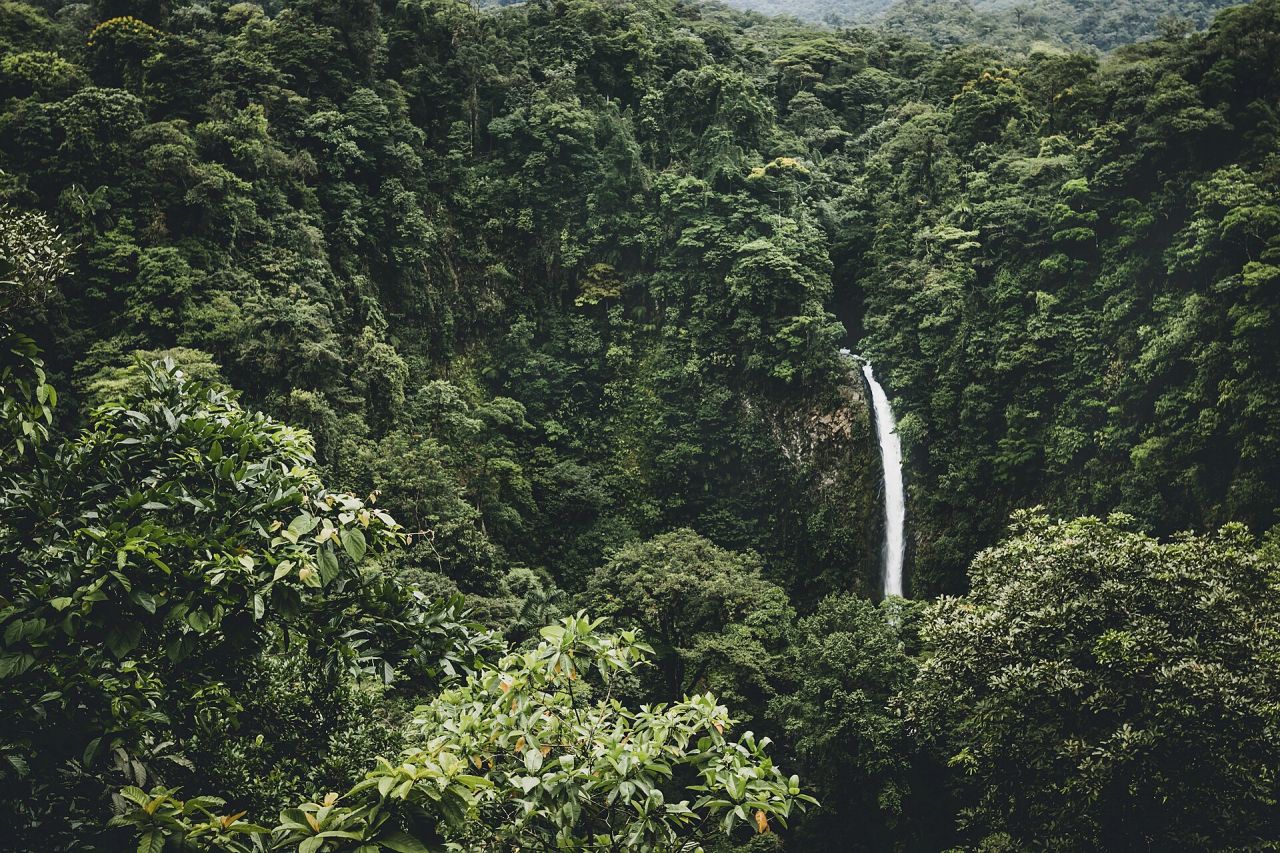 La catarata de La Fortuna cayendo entre selva densa, cerca del Arenal